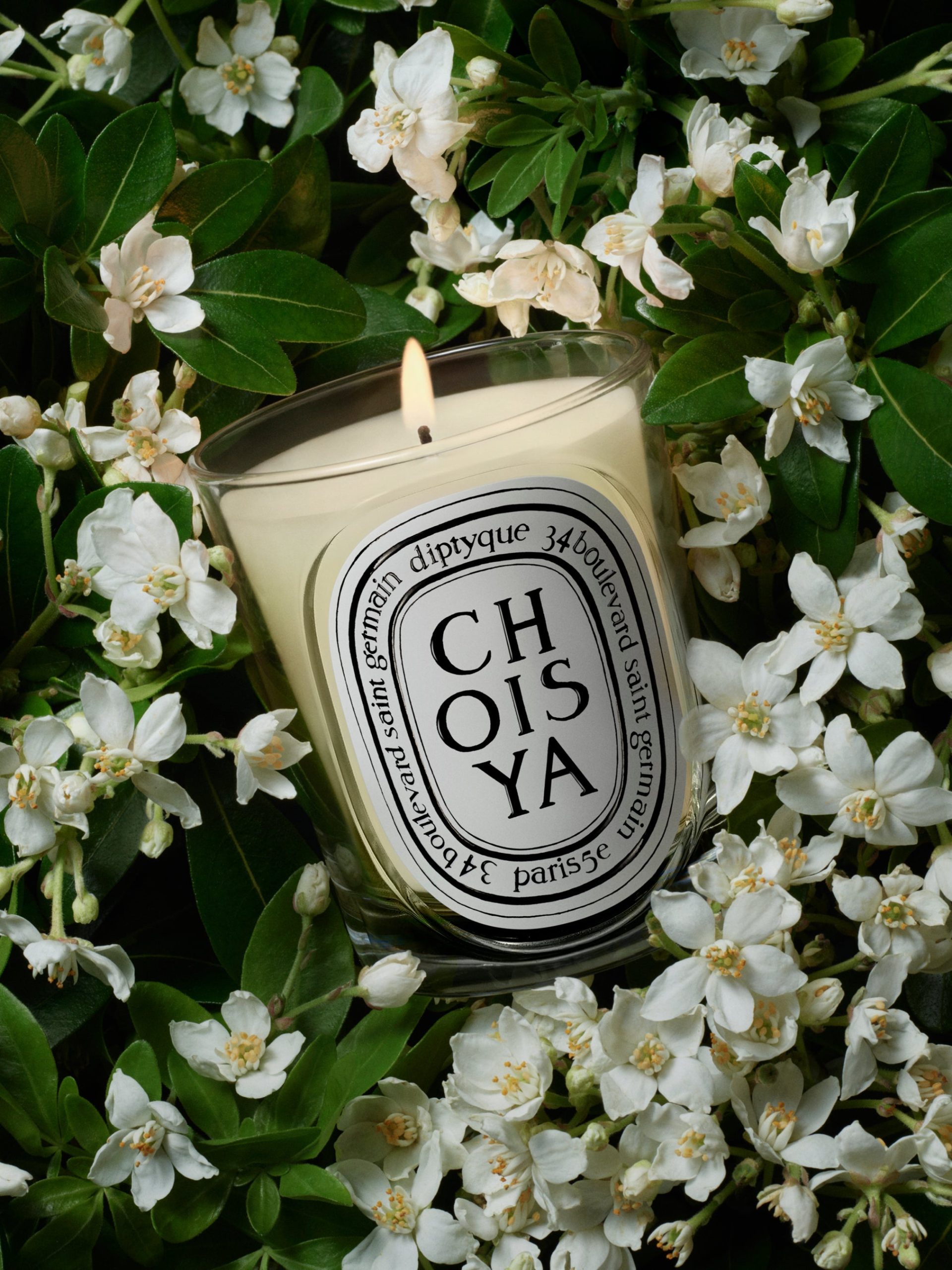 Choisya (Orange Blossom) - Classic Candle - Image 3