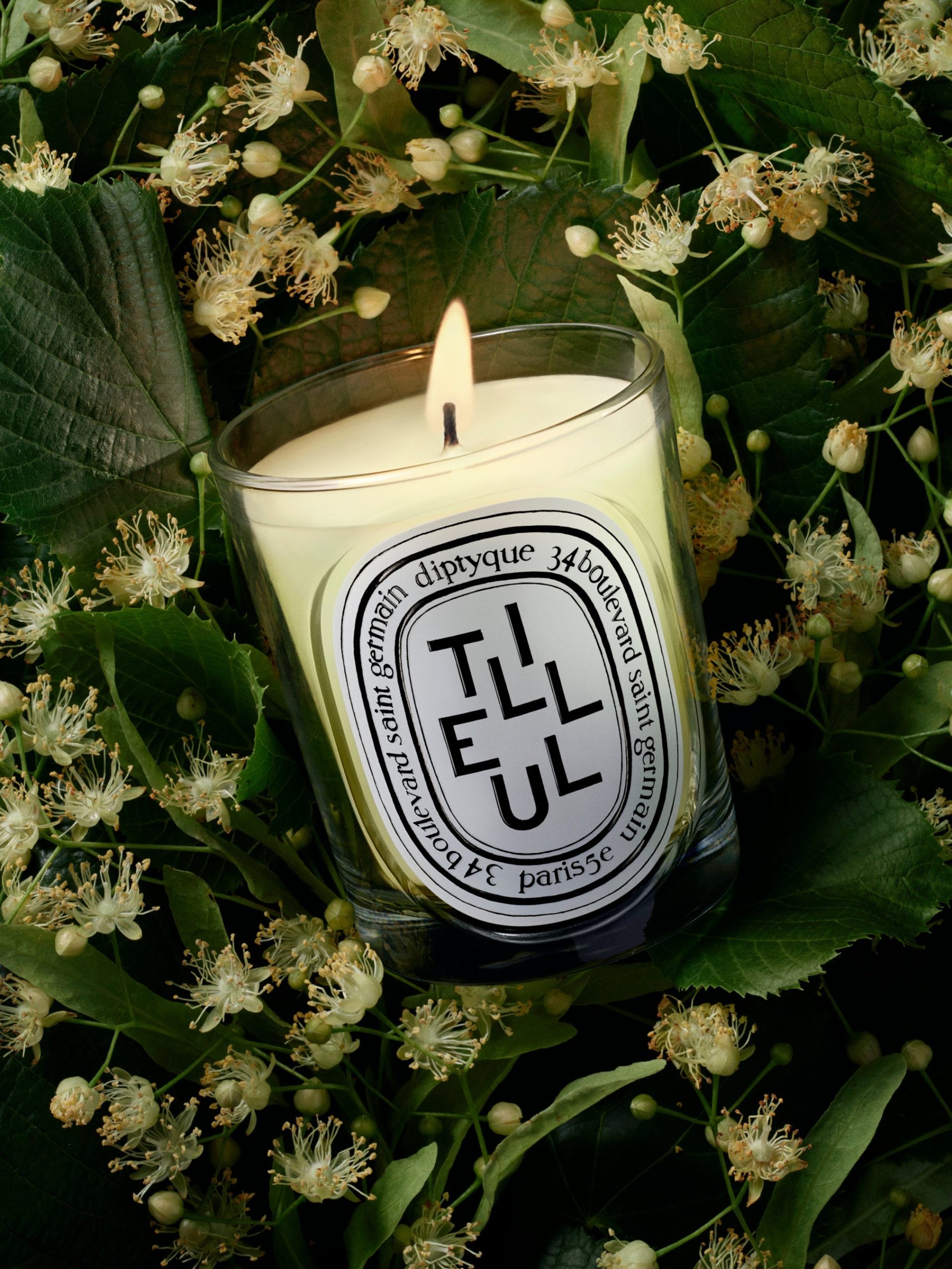 Tilleul (Linden Tree) - Classic Candle - Image 3