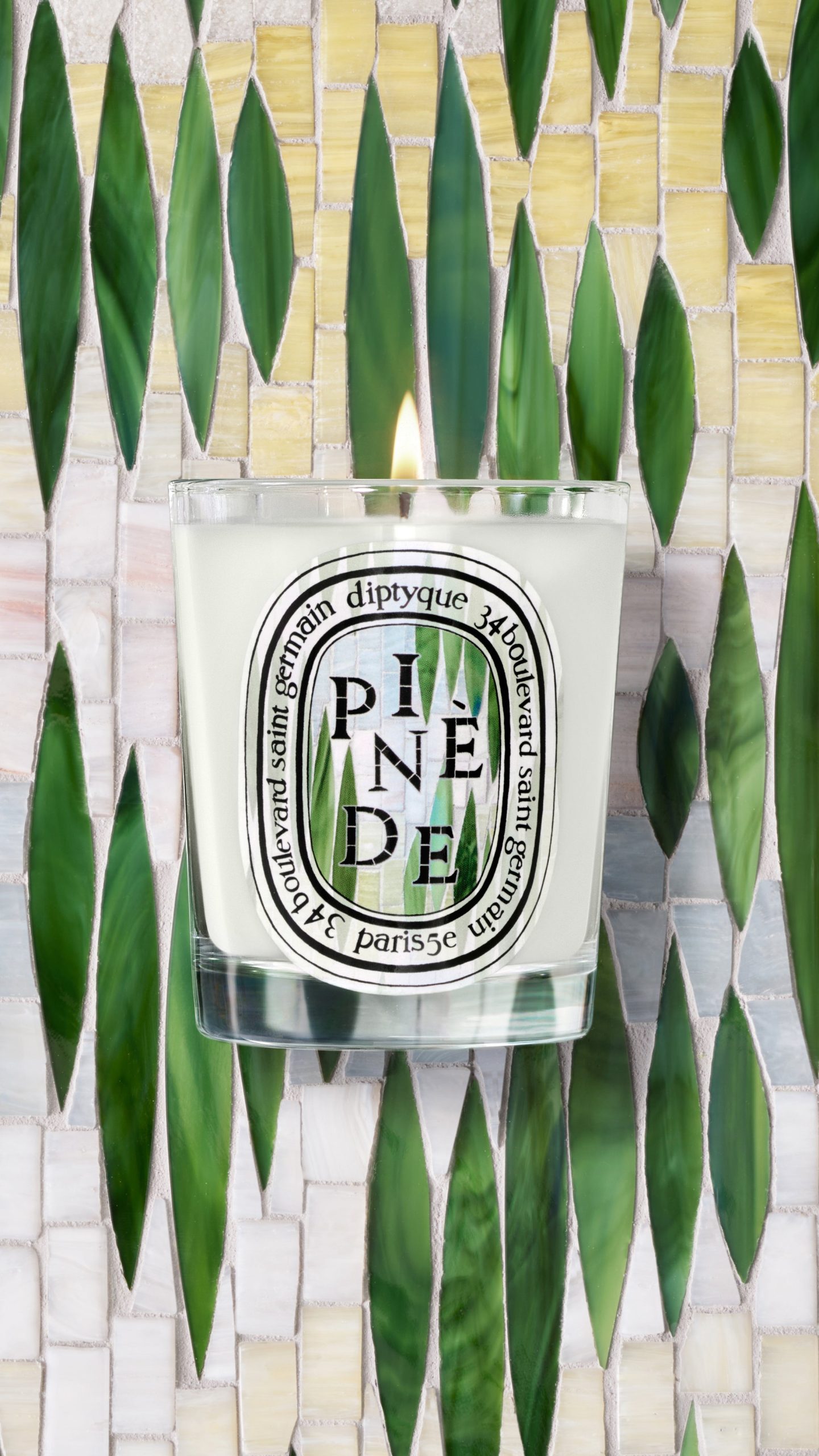 Pinède (Pine Grove) - Classic Candle - Image 5