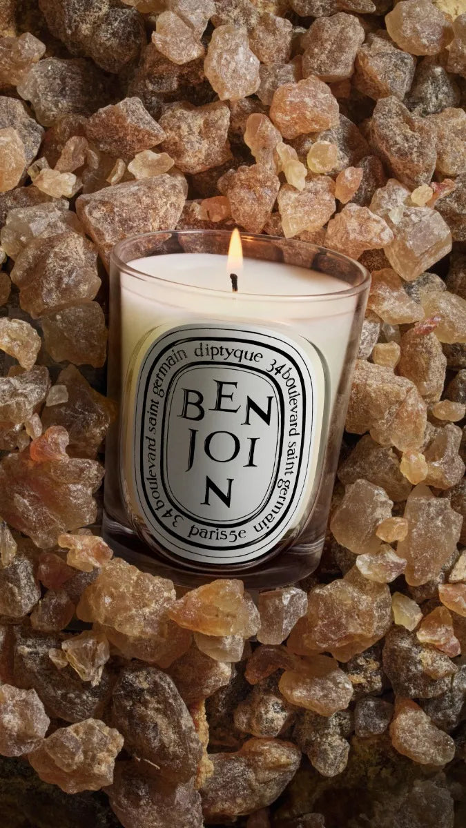 Benjoin (Benzoin) - Classic Candle - Image 4