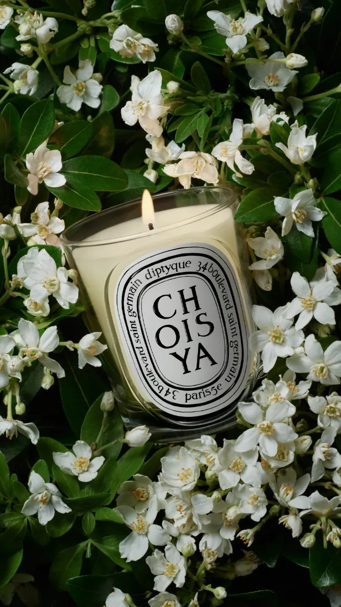 Choisya (Orange Blossom) - Classic Candle - Image 4