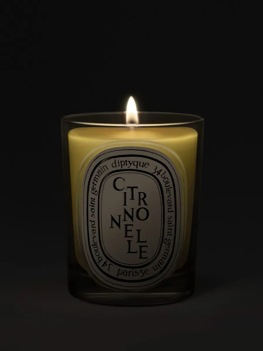 Citronnelle (Lemongrass) - Classic Candle - Image 2