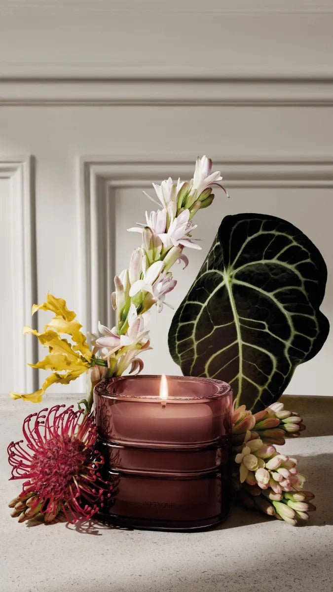 La Forêt Rêve (Forest Dreams) - Signature Candle - Image 5