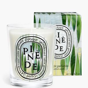 Pinède (Pine Grove) - Classic Candle
