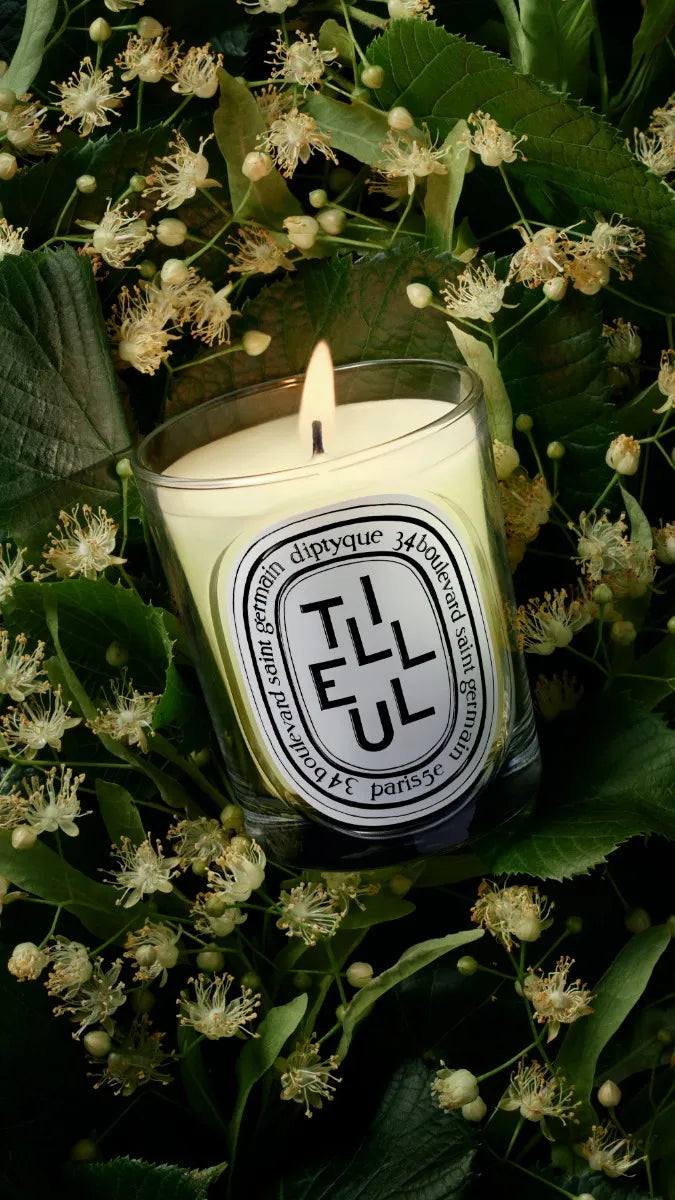 Tilleul (Linden Tree) - Classic Candle - Image 4