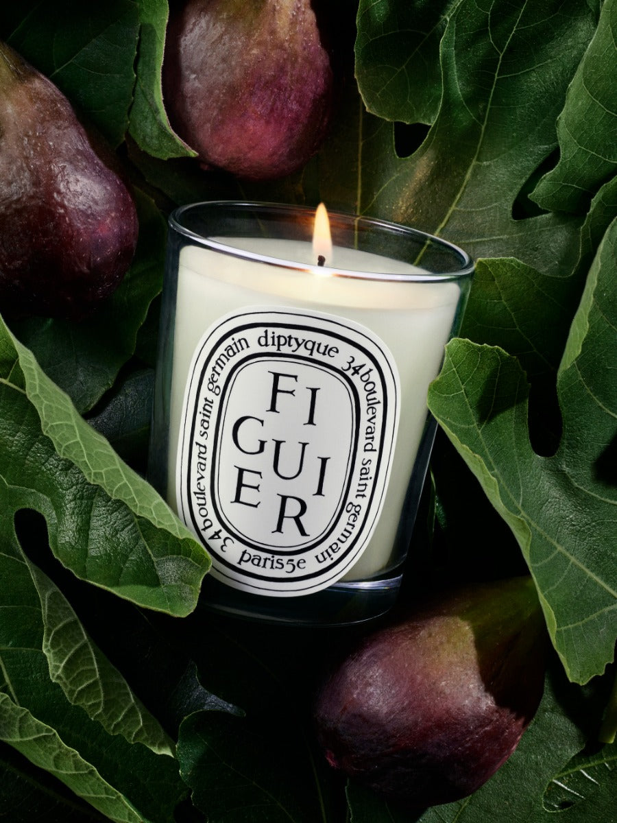 Figuier (Fig Tree) - Small Candle - Image 3