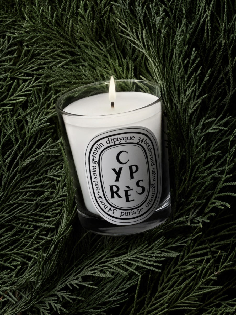 Cyprès (Cypress) - Small Candle - Image 3