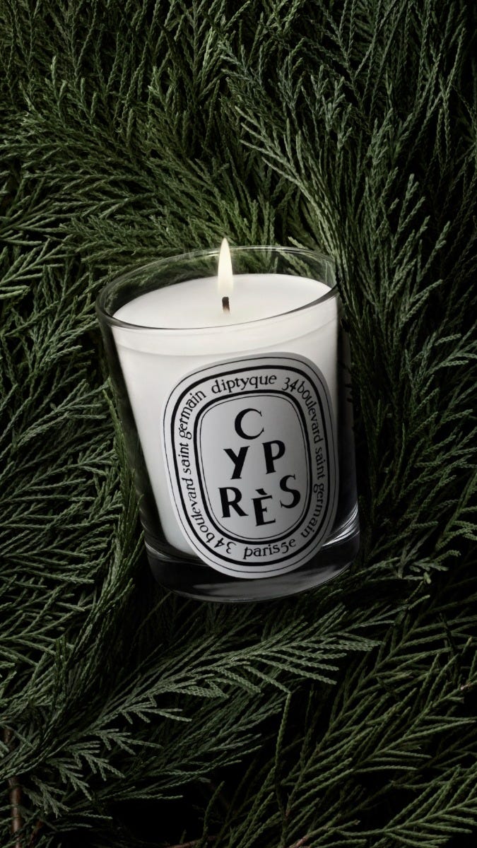 Cyprès (Cypress) - Small Candle - Image 4