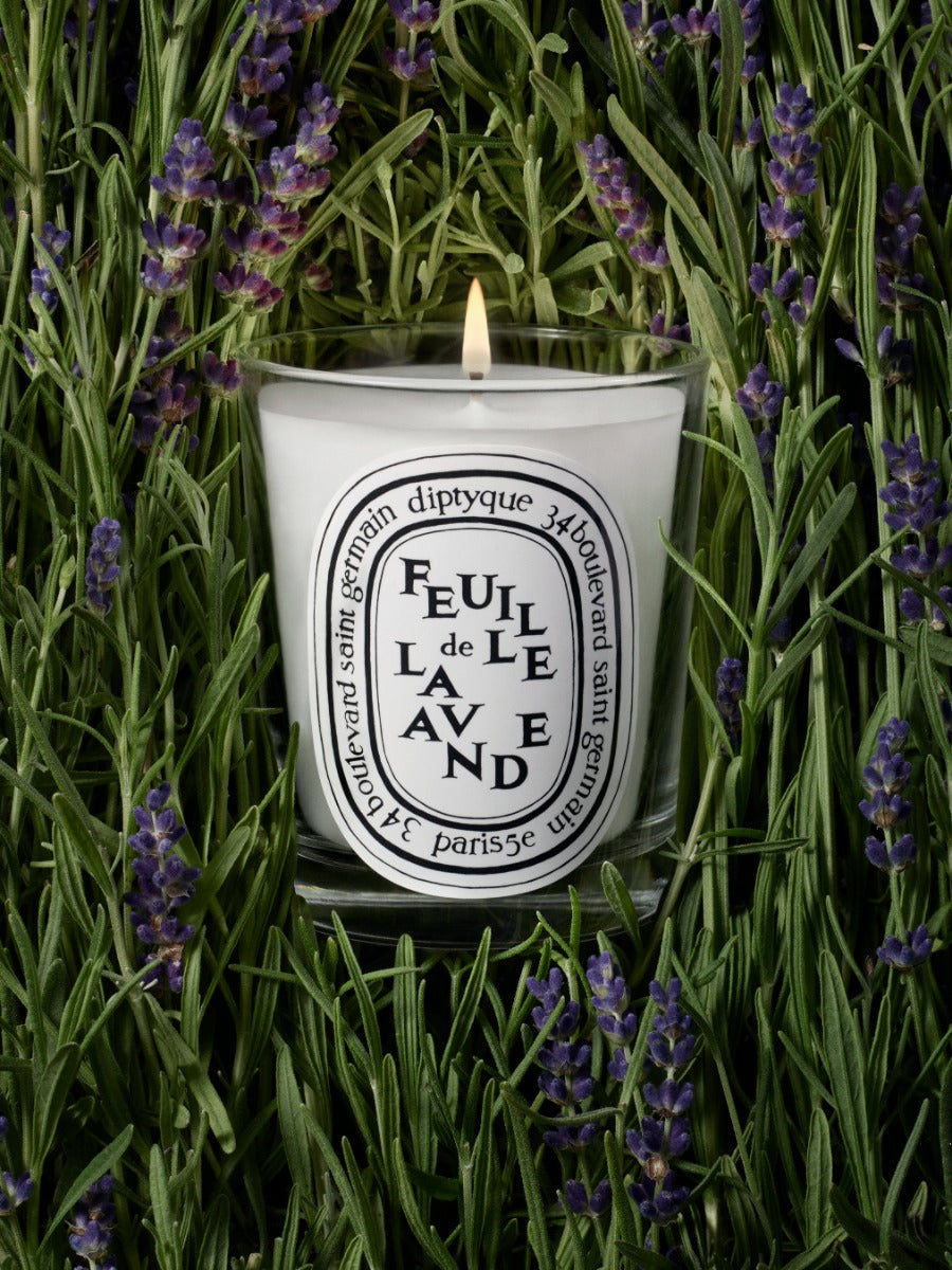 Feuille de Lavande (Lavender Leaf) - Small Candle - Image 3