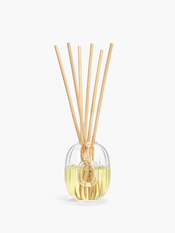 Home Fragrance Diffuser - Glass vessel - Image 3