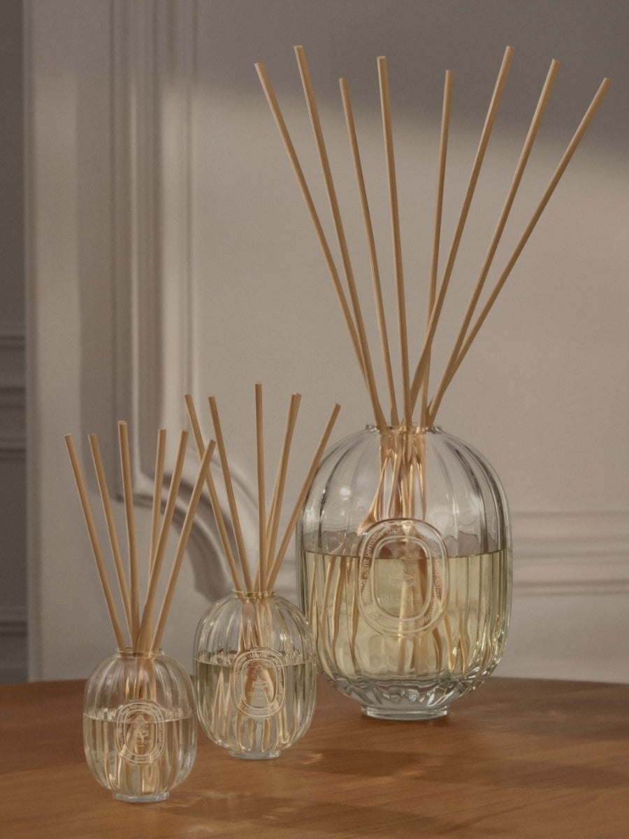 Home Fragrance Diffuser - Glass vessel - Image 5
