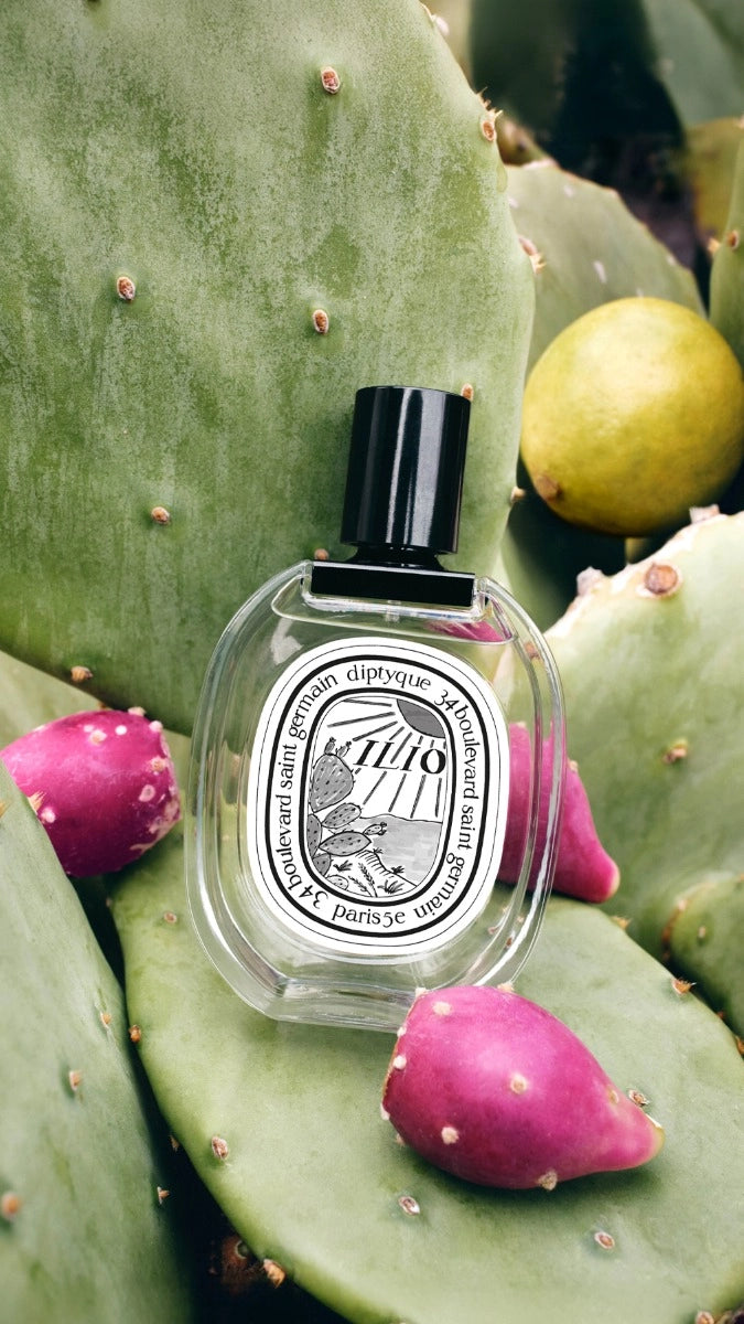 Ilio - Eau de toilette - Image 5