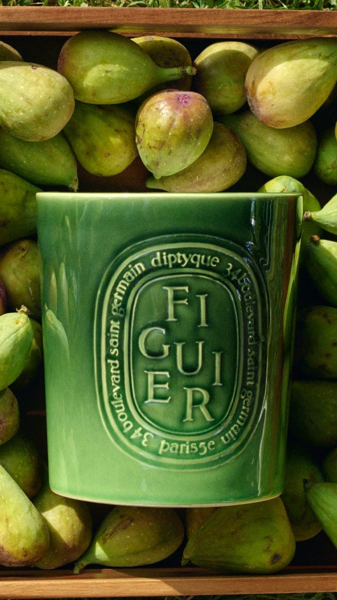 Figuier (Fig Tree) - Very Large Candle - Image 6